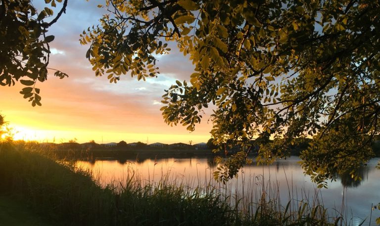 Your lodge is perfect! Beautifully decorated and very well equipped. Pretty & tranquil setting, we've loved sitting looking over the lake and by the log burner. The beaches are lovely and so quiet.